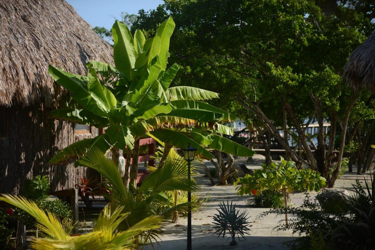 El Ben Cabanas Caye Caulker Eksteriør bilde
